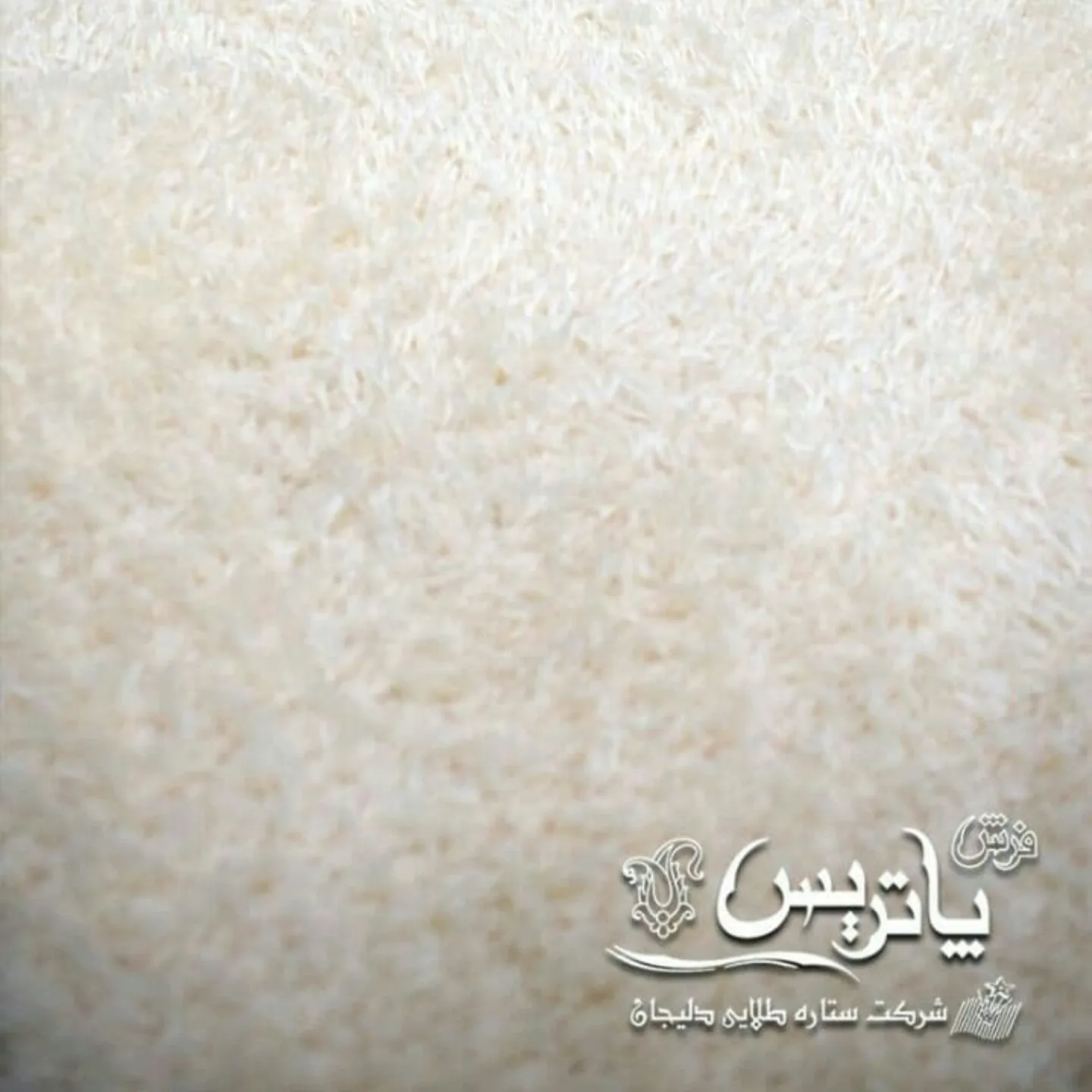 فرش پاتریس شگی فلوکاتی پرزبلند فانتزی رنگ کرم ساده قالیچه 4 متری