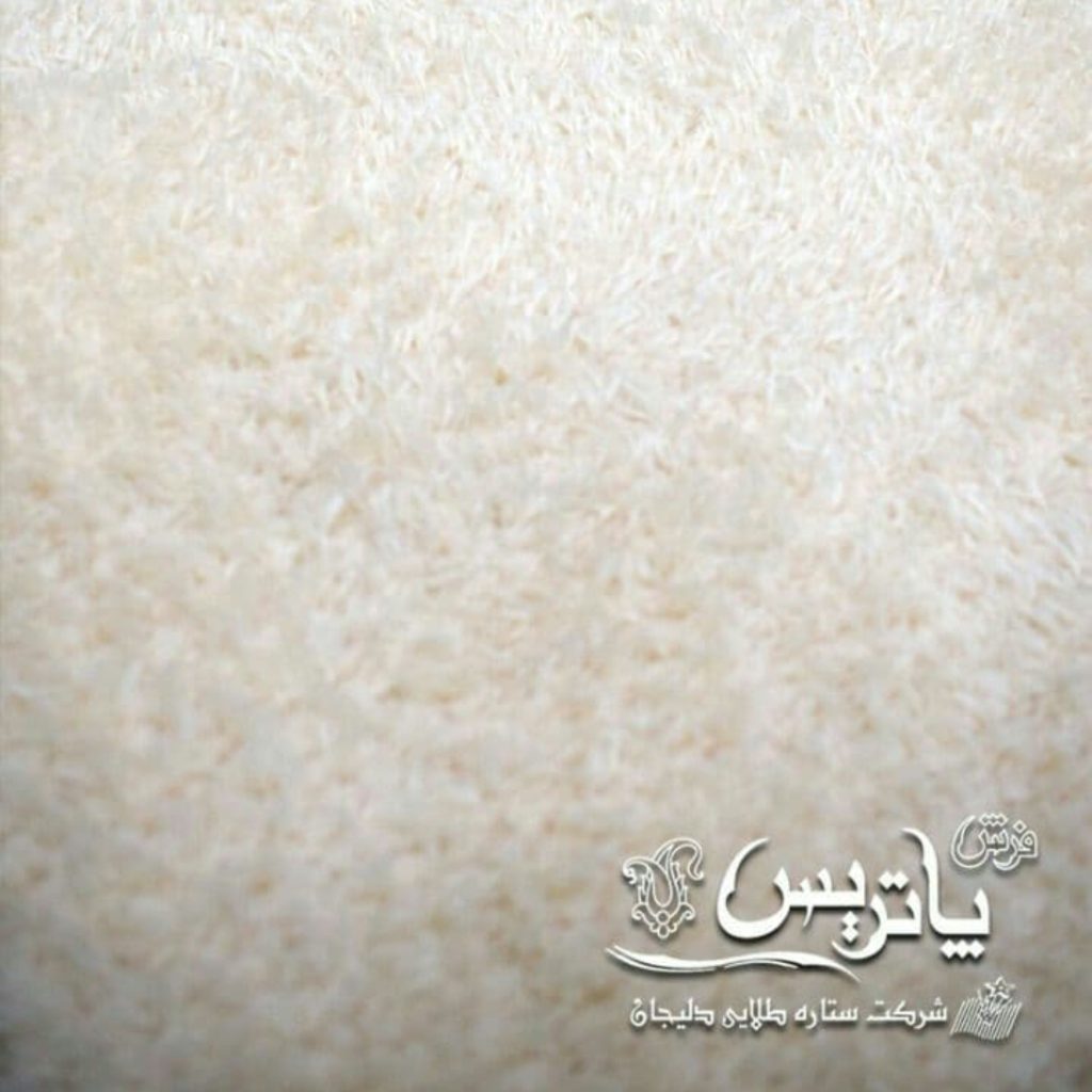 فرش پاتریس شگی فلوکاتی پرزبلند فانتزی رنگ کرم ساده سایز 6 متری